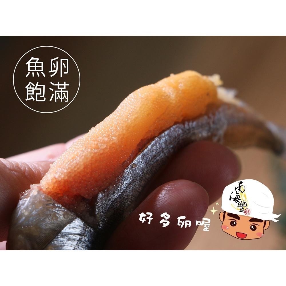 南海豐【大尾爆卵柳葉魚】400g/包 加拿大高品質喜相逢/飽滿魚卵/尾尾單凍/烤肉必備-細節圖5