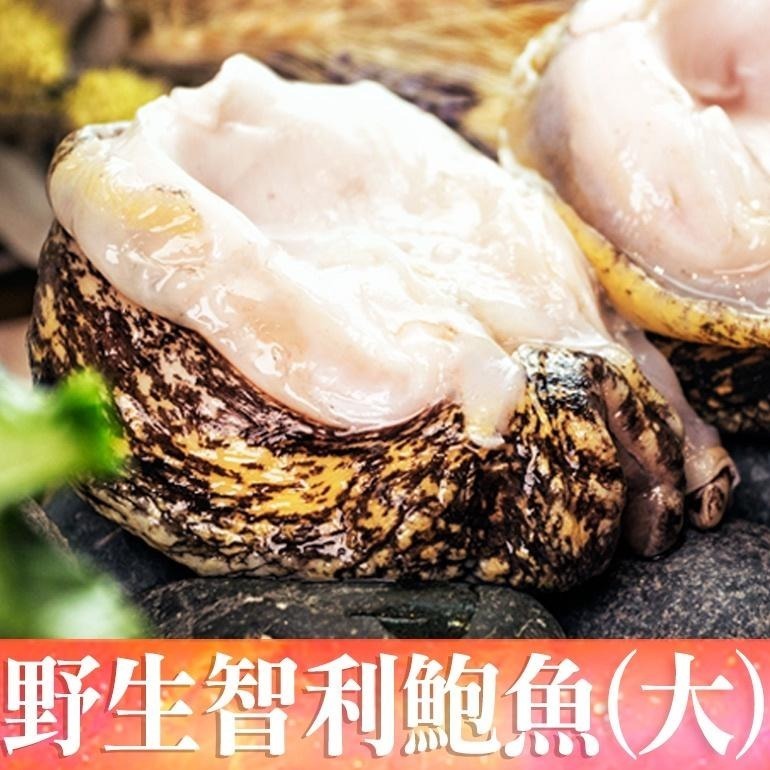 南海豐【野生智利鮑魚-大】150g以上/顆  肉質Q彈甜美，火烤煮湯粥都美味，智利當地限期開採上岸去殼活急凍-細節圖2