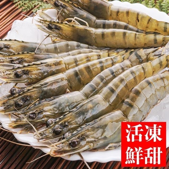 南海豐【活凍甜美草蝦】海上先生嚴選，甜美回味、肉質Q彈，海鮮火鍋食材首選，美食團購宅配300g±5%(10尾入)-細節圖2