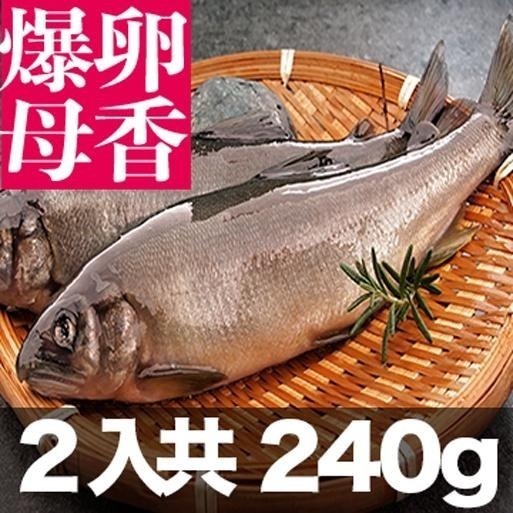 限量！南海豐【爆卵大尾母香魚】2尾入共240g  黃金色魚卵飽滿/迷人香氣鮮美肉質細緻/鹽烤最讚食材-細節圖2