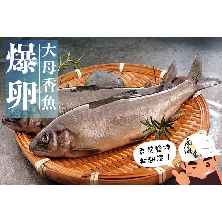 限量！南海豐【爆卵大尾母香魚】2尾入共240g  黃金色魚卵飽滿/迷人香氣鮮美肉質細緻/鹽烤最讚食材-細節圖3