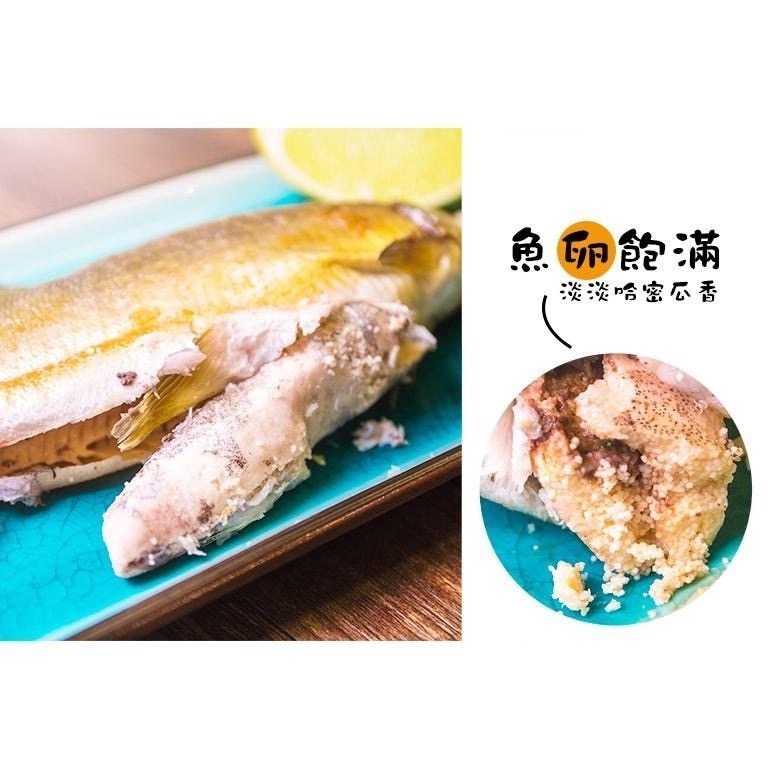 限量！南海豐【爆卵大尾母香魚】2尾入共240g  黃金色魚卵飽滿/迷人香氣鮮美肉質細緻/鹽烤最讚食材-細節圖4