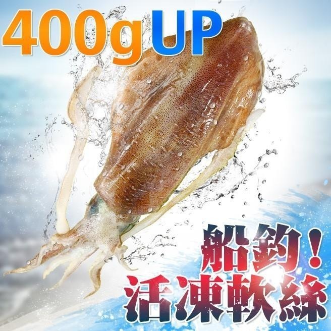 南海豐【船釣！活凍軟絲】400-500g/尾 活體急凍鮮美透亮，厚實Q彈甜美，海鮮食材宅配-細節圖2