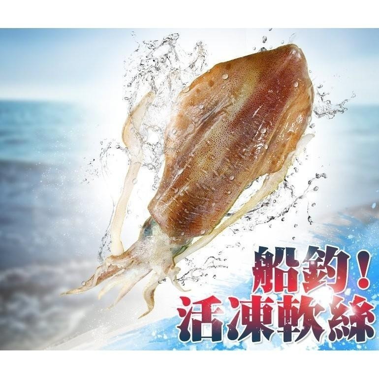 南海豐【船釣！活凍軟絲】400-500g/尾 活體急凍鮮美透亮，厚實Q彈甜美，海鮮食材宅配-細節圖3