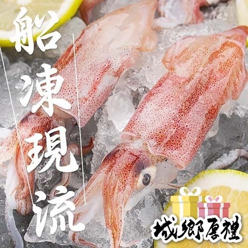 南海豐【野生現流船凍小卷】200 300g 盒 現流船上急凍，入港即真空，鮮度極高，細嫩q彈順滑 南海豐