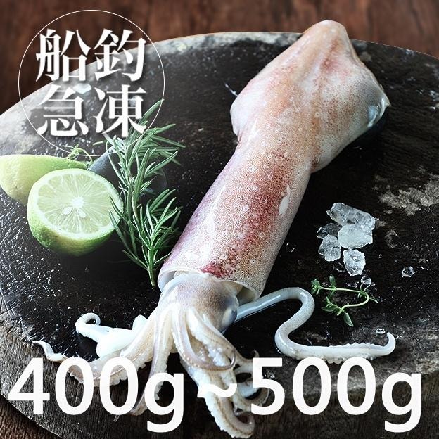 南海豐【船釣！活凍透抽】400-500g/尾  捕撈船上急凍透抽，海上先生嚴選，海鮮食材宅配-細節圖2