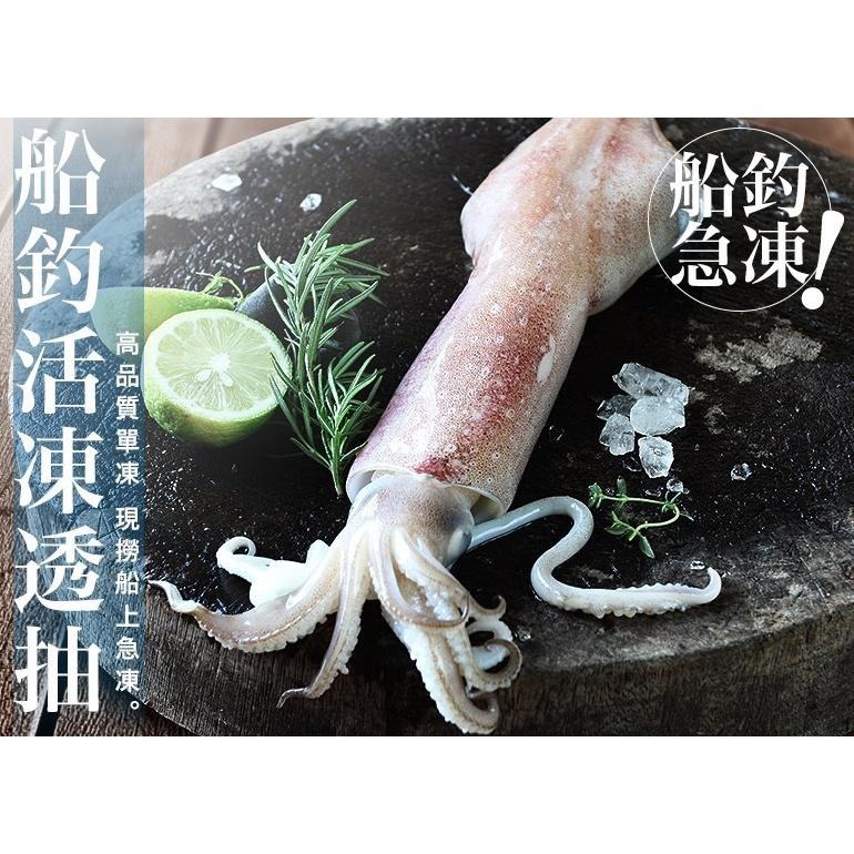 南海豐【船釣！活凍透抽】400-500g/尾  捕撈船上急凍透抽，海上先生嚴選，海鮮食材宅配-細節圖3