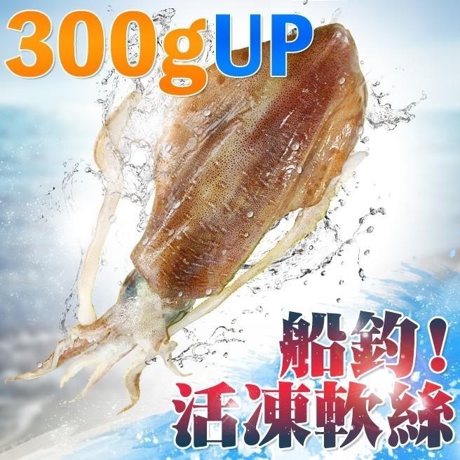 南海豐【船釣！活凍軟絲】300-400g/尾 活體急凍鮮美透亮，厚實Q彈甜美，海鮮食材宅配-細節圖2