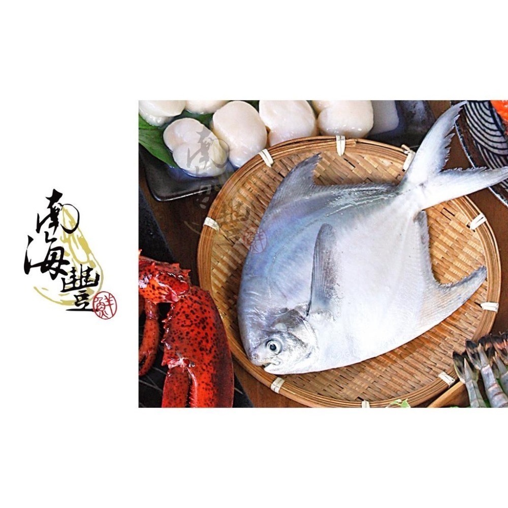 預購！南海豐【特大野生白鯧魚】600g-700g/尾 船釣急凍，鮮度極鮮 送禮圍爐 過年團圓 拜拜必備 過年魚必備-細節圖5