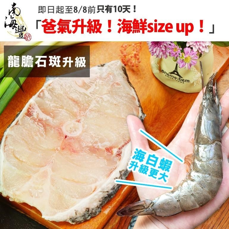 南海豐【活肉龍膽石斑魚片】500g-600g/片 海上先生漁港新鮮活體現切，肉質細嫩鮮美，豐富膠質-細節圖5