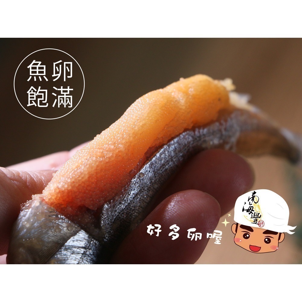 南海豐【魚蝦營養均衡組】超值免運/漁港直送推薦/大尾北極甜蝦＋野生白鯧魚+無刺白帶魚+大尾爆卵柳葉魚-細節圖5