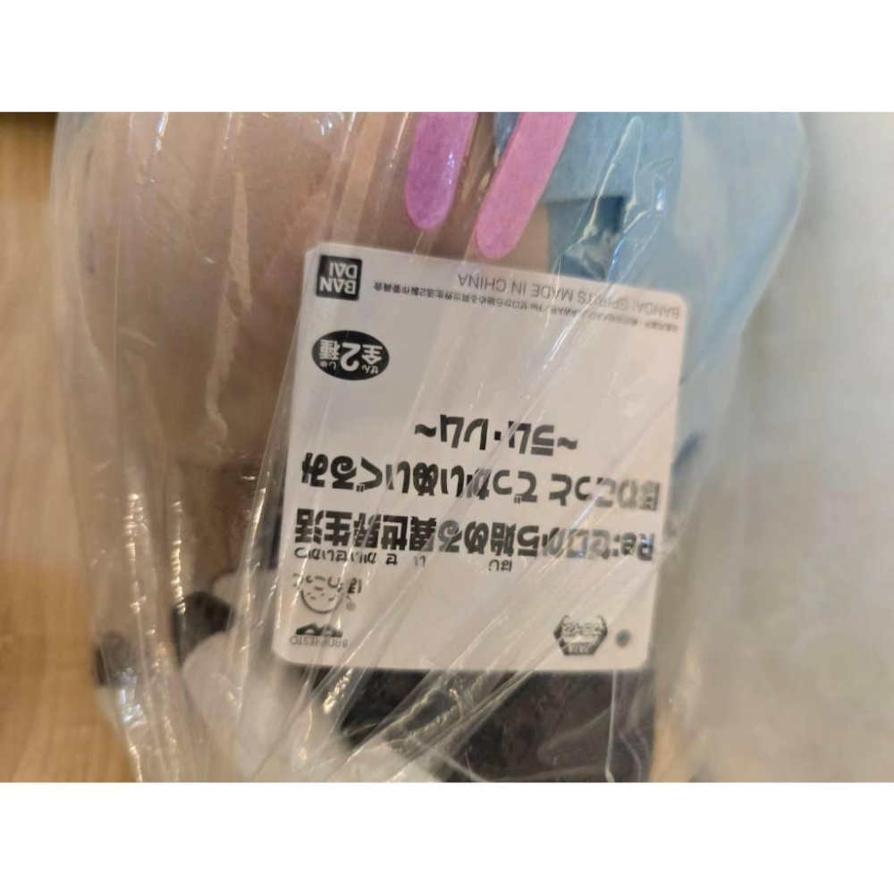 全新 正版 日本 景品 兩隻合售 Re 從零開始的異世界生活 雷姆 拉姆 女僕 女僕裝 娃娃 絨毛玩偶 22CM-細節圖4
