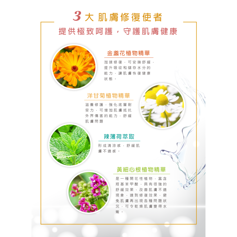 舒緩防護平衡水(金盞花&洋甘菊)   公司正品正貨-細節圖6