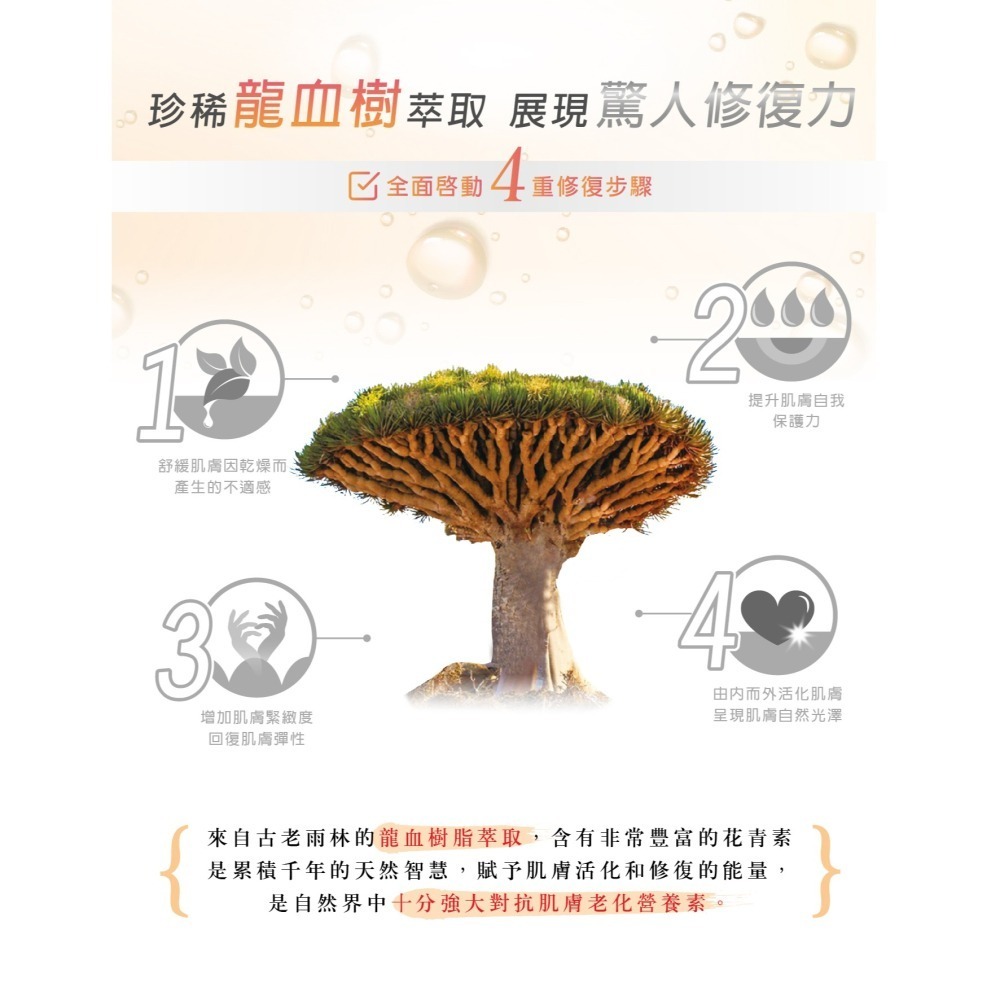 龍血修護緊緻滋養霜-細節圖3