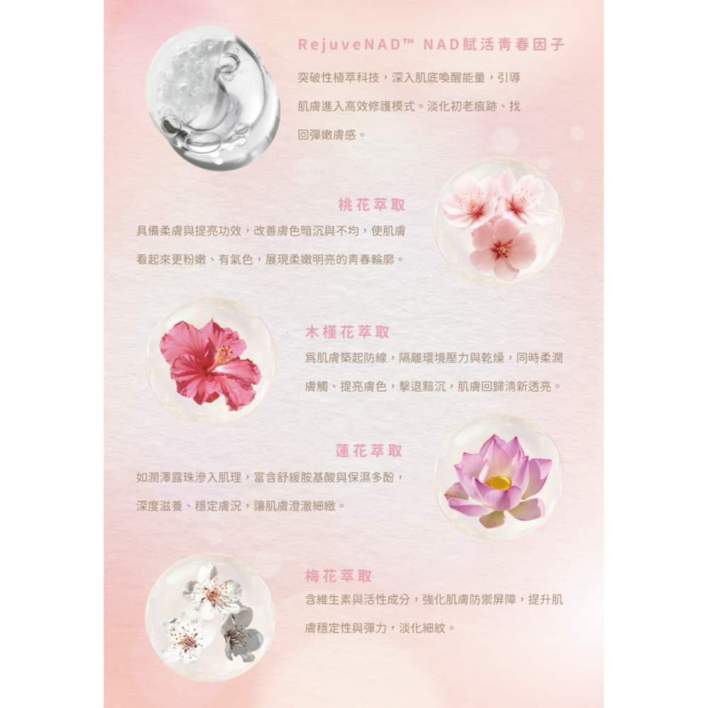 【初綻透潤桃花霜｜多效素顏修護霜】-細節圖3