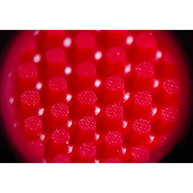 顏同學 顏選桌球 Butterfly 蝴蝶牌 Feint Long III 膠皮 顆粒 長顆粒 薄海綿 0.5mm OX-細節圖2