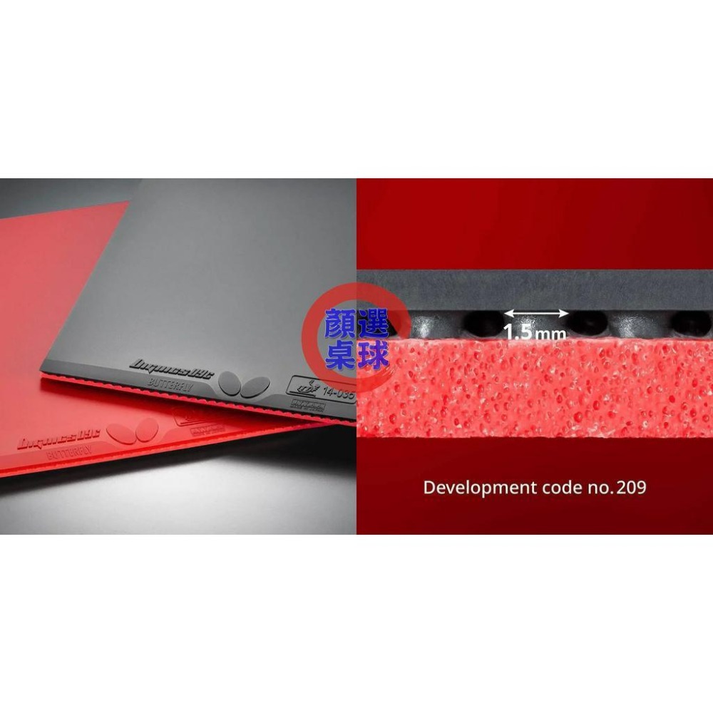 顏同學 顏選桌球 Butterfly 蝴蝶牌 膠皮 面膠 桌皮 DIGNICS 09C 05 80 64 總代理公司貨-細節圖5