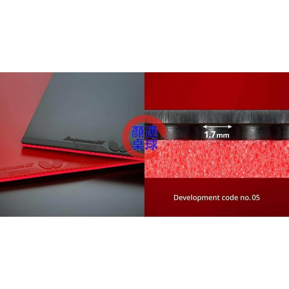 顏同學 顏選桌球 Butterfly 蝴蝶牌 膠皮 面膠 桌皮 DIGNICS 09C 05 80 64 總代理公司貨-細節圖6