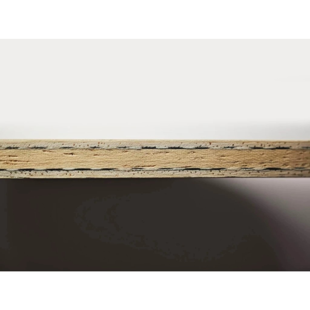 顏同學 顏選桌球 DONIC 桌球拍 乒乓球拍 Original No.1 Senso 德國版 W968 內碳 內置-細節圖4