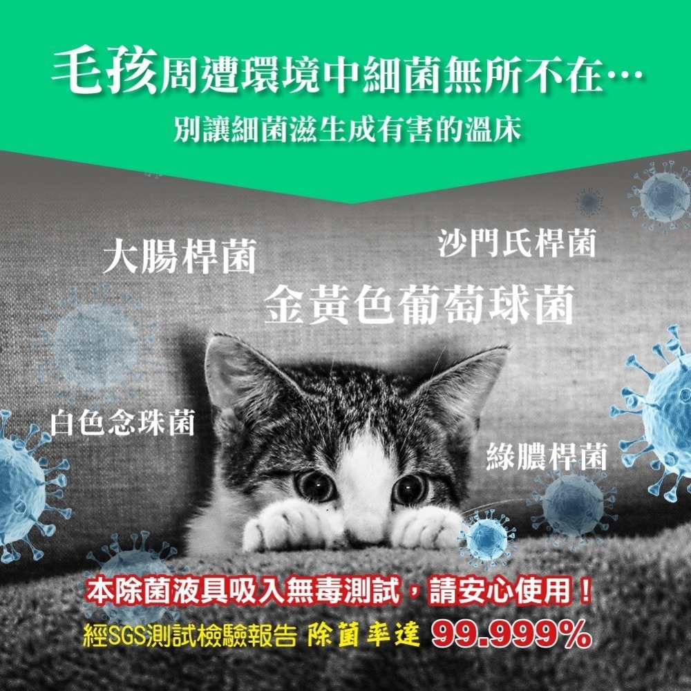 【次綠康】寵物環境除菌液60mlx6-細節圖3