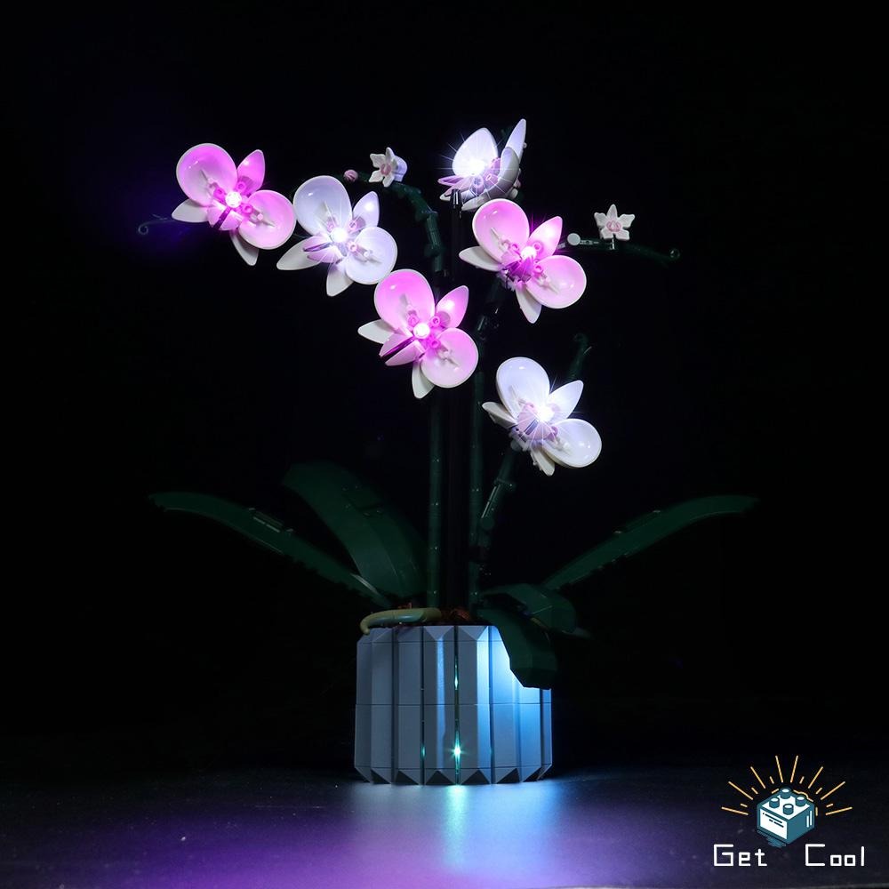 [給酷創意] 10311 蘭花 LED燈光套件-細節圖4