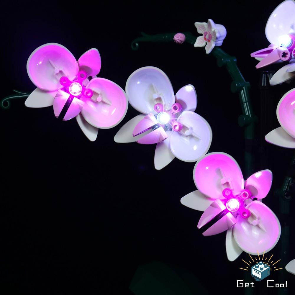 [給酷創意] 10311 蘭花 LED燈光套件-細節圖5