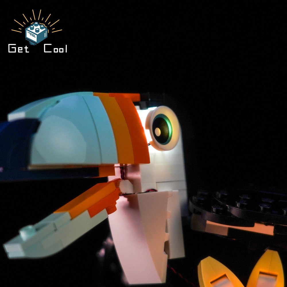 [給酷創意] 31173 熱帶巨嘴鳥 Tropical Toucan LED燈光套件-細節圖5