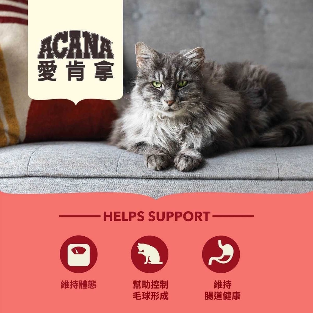 愛肯拿 ACANA 無穀高蛋白室內貓飼料-細節圖3