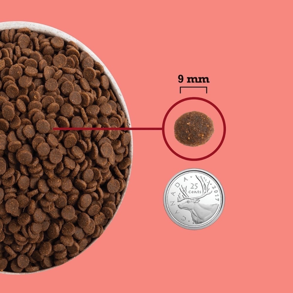 愛肯拿 ACANA 無穀高蛋白室內貓飼料-細節圖5