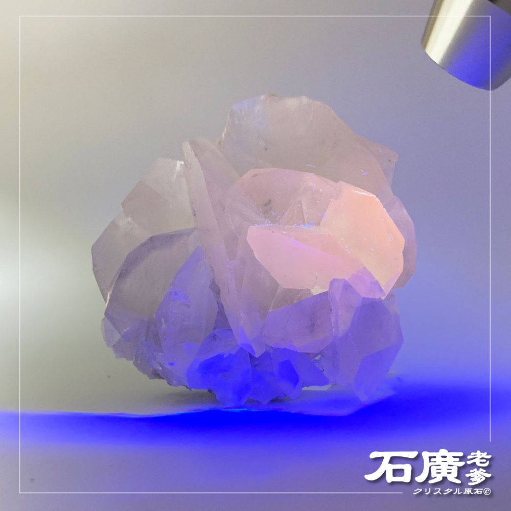 石廣老爹【療癒原礦·天然水晶】一朵粉紅玫瑰の湖南香花嶺貝殼方解原生礦(video＿影片更精彩）粉紅效應-細節圖3