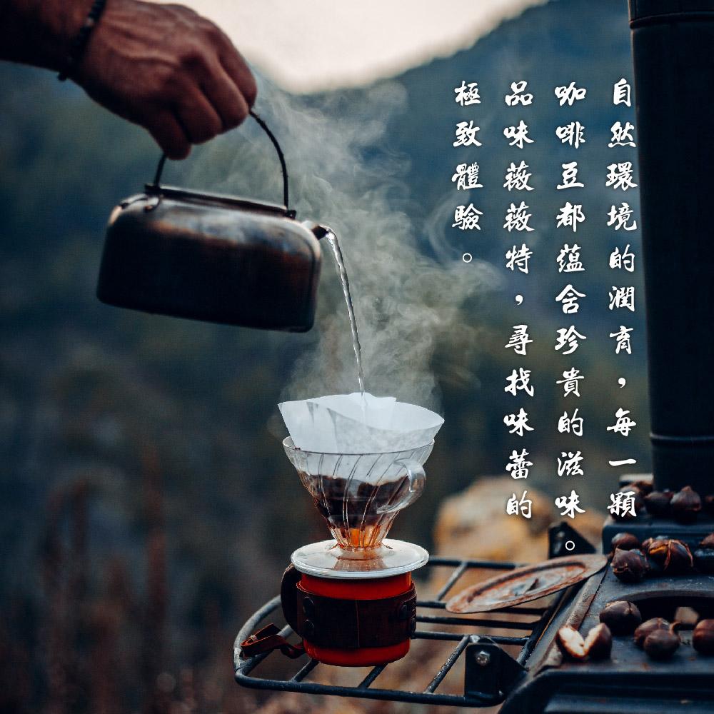 壹咖啡24周年精品咖啡特賣 瓜地馬拉 薇薇特南國 極鮮罐裝/袋裝 咖啡豆 精品咖啡 手沖咖啡 現烘 可代磨-細節圖7