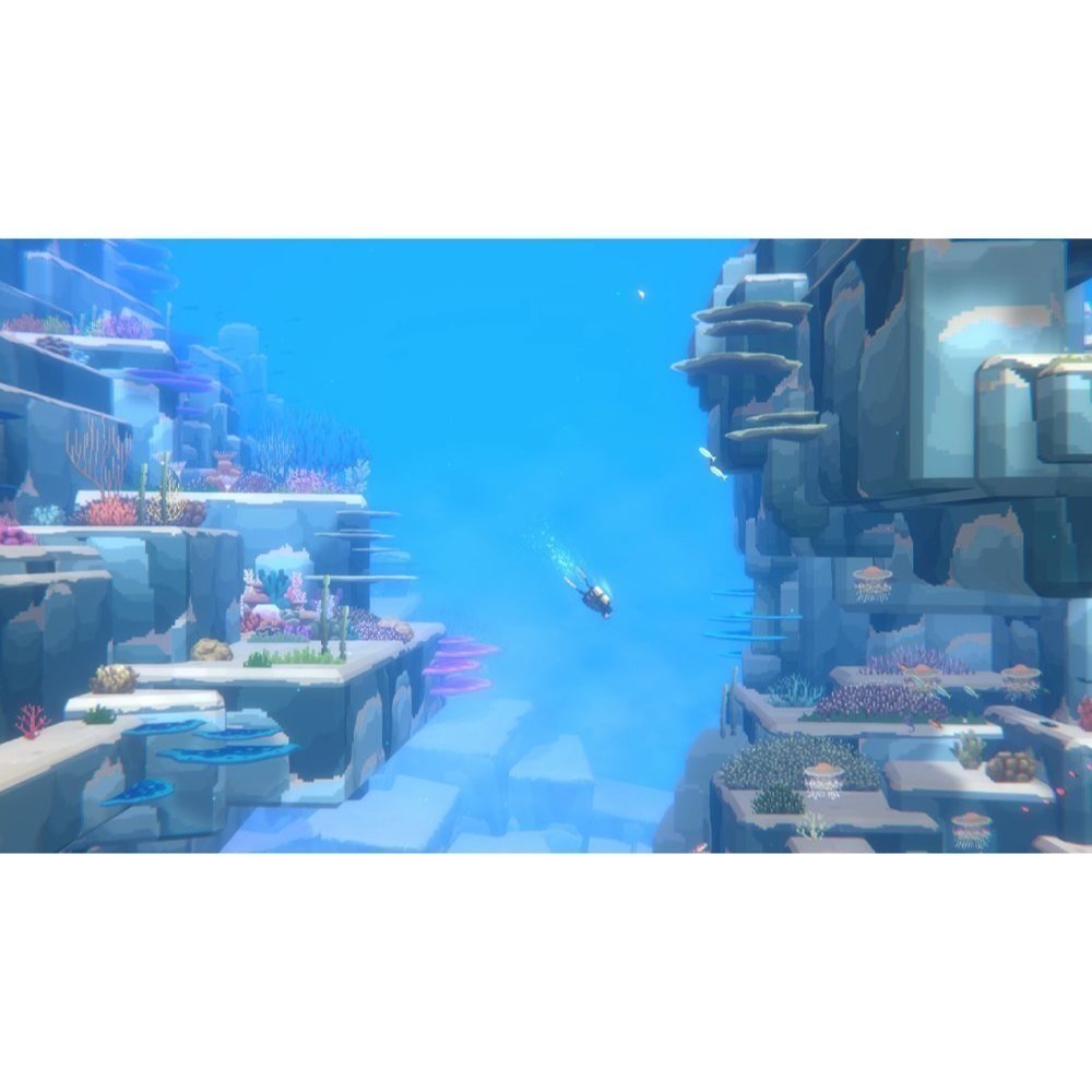 【Fun肆電玩】Switch 潛水員戴夫-細節圖5