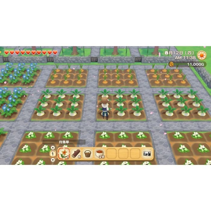 【Fun肆電玩】實體店面更安心牧場物語 橄欖鎮與希望的大地  SWITCH 任天堂-細節圖4