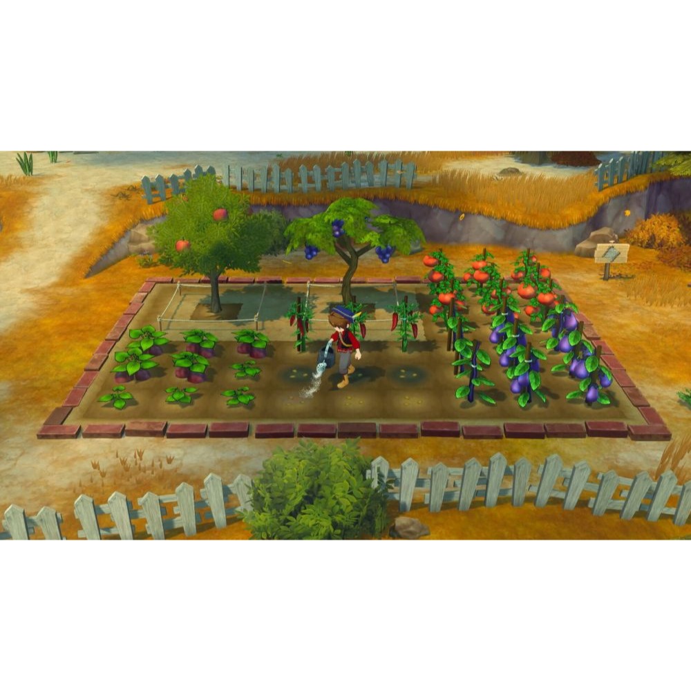 【Fun肆電玩】實體店面更安心 牧場物語 歡迎來到風之市集-細節圖4