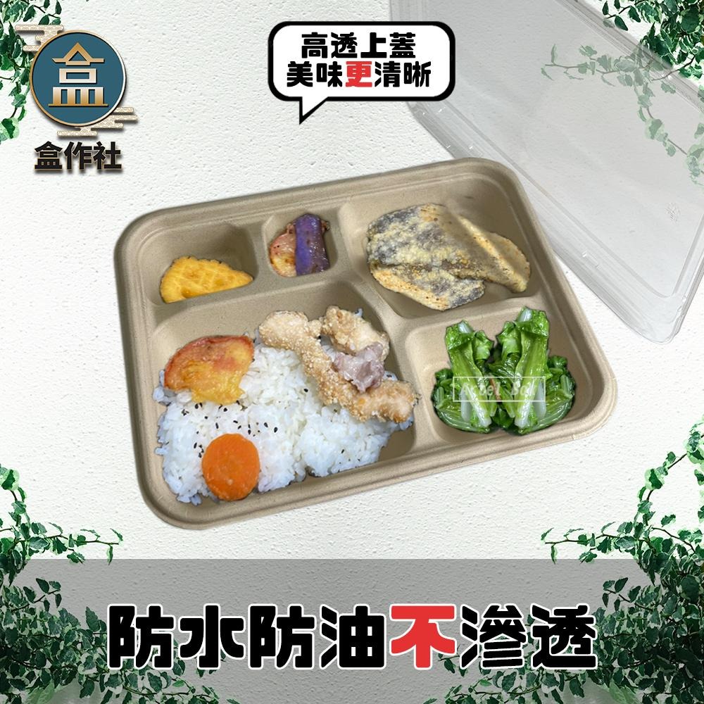 【盒作社】植物纖維五格餐盒🌾(1件50組)可微波餐盒/外帶餐盒/一次性餐盒/免洗餐具/環保餐盒/健康餐盒/多格餐盒-細節圖2