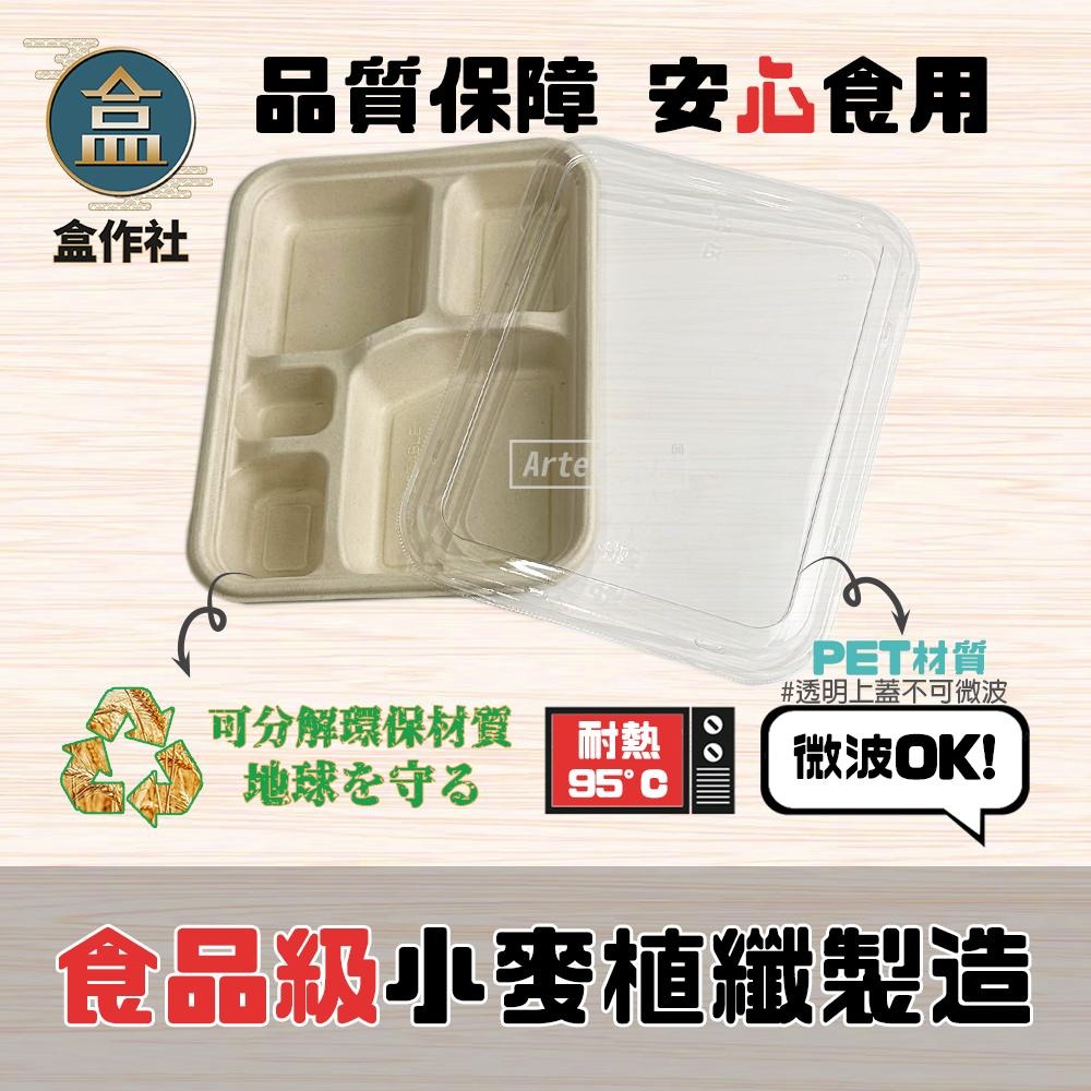 【盒作社】植物纖維五格餐盒🌾(1件50組)可微波餐盒/外帶餐盒/一次性餐盒/免洗餐具/環保餐盒/健康餐盒/多格餐盒-細節圖3
