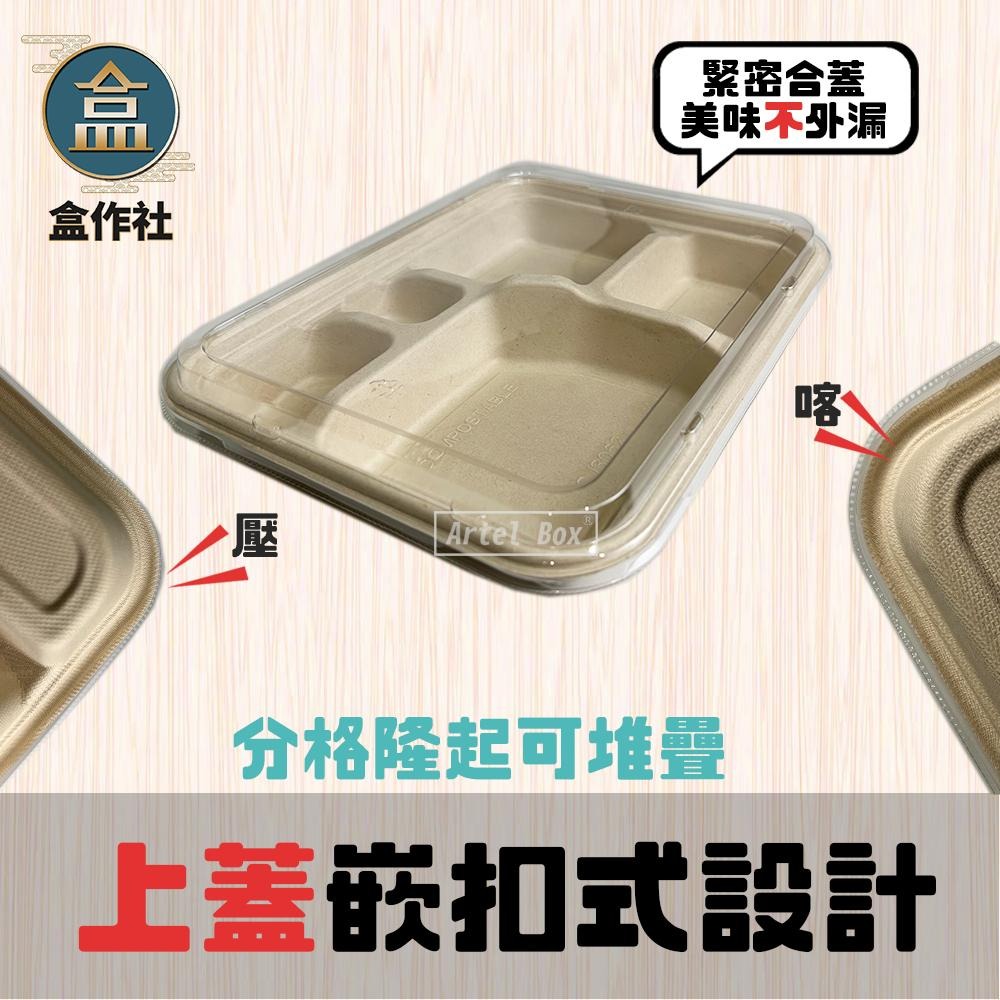 【盒作社】植物纖維五格餐盒🌾(1件50組)可微波餐盒/外帶餐盒/一次性餐盒/免洗餐具/環保餐盒/健康餐盒/多格餐盒-細節圖4