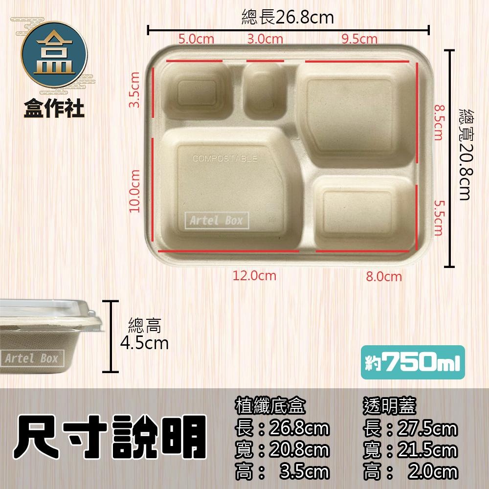 【盒作社】植物纖維五格餐盒🌾(1件50組)可微波餐盒/外帶餐盒/一次性餐盒/免洗餐具/環保餐盒/健康餐盒/多格餐盒-細節圖5