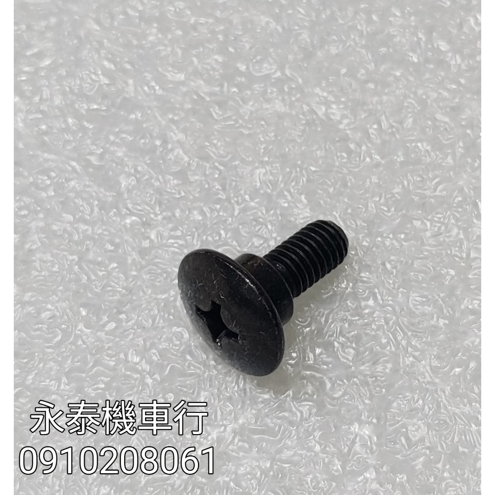 永泰機車行 前土除螺絲 前土除 螺絲 DRG MMBCU JETS JETSR JETSL FNX WOO KRN T3-細節圖2