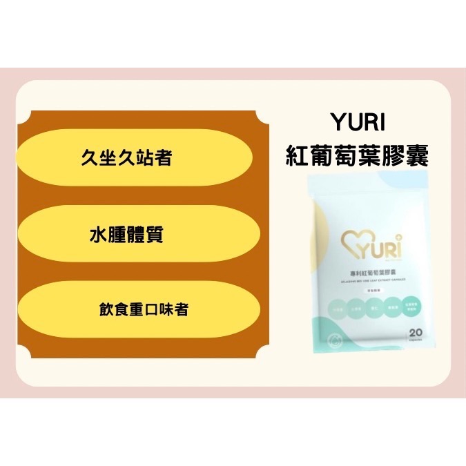 🔥🔥超推必推🔥🔥YURI紅葡萄葉膠囊/柑橘抗糖膠囊 現貨供應中🛒小資保養必敗品-細節圖2