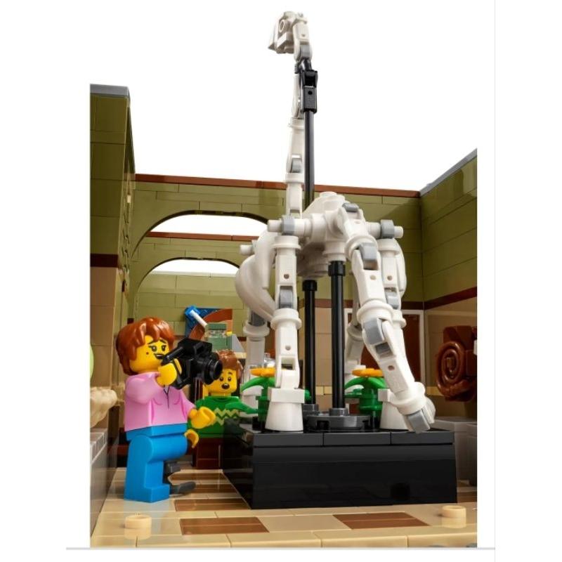 【ToyDreams】LEGO ICONS街景 10326 自然歷史博物館 Natural History Museum-細節圖7