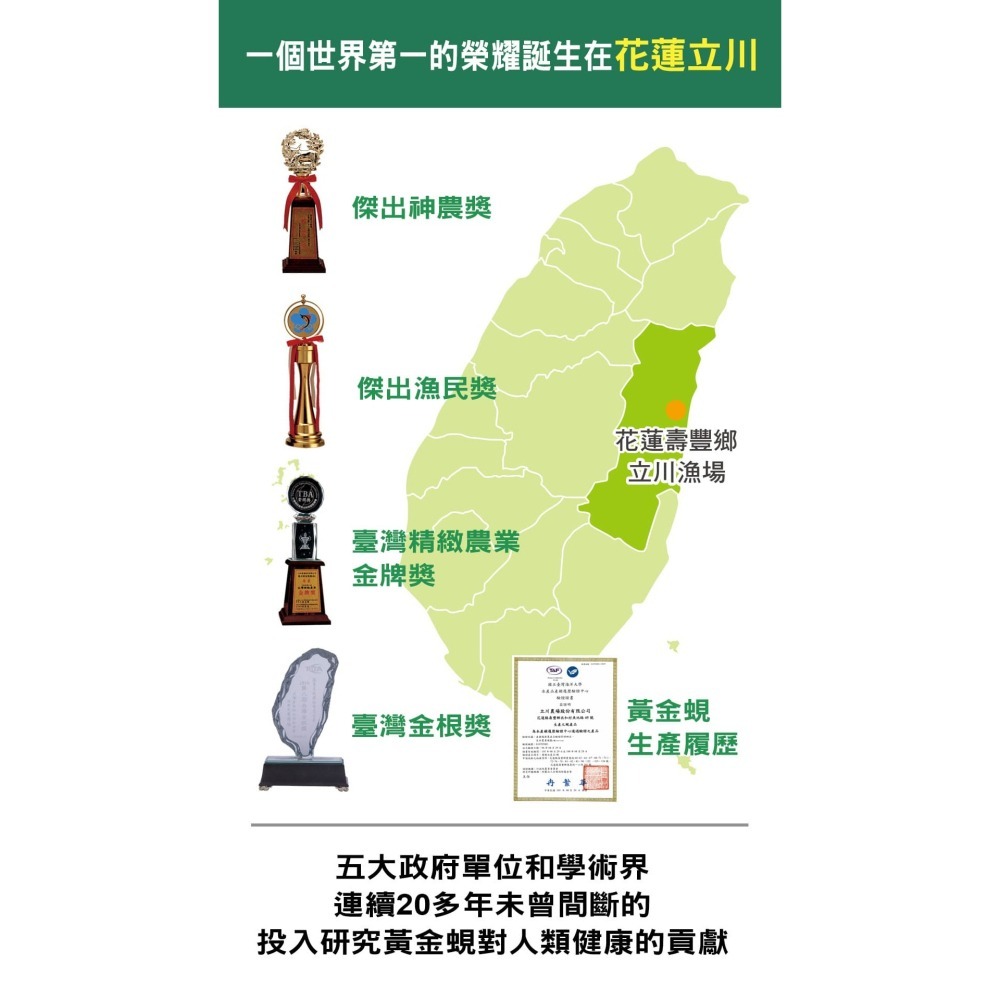 綠川 黃金蜆精 單包裝/6入盒裝-細節圖4