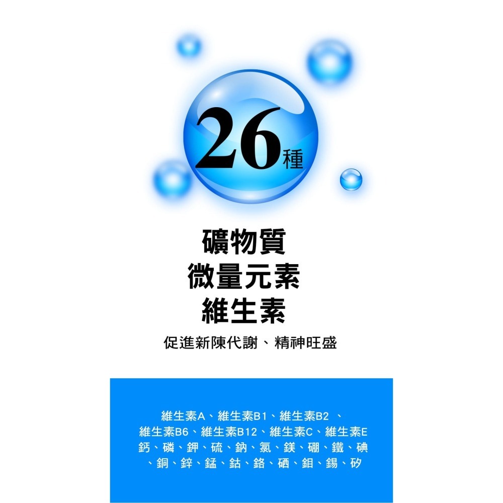 綠川 黃金蜆精 單包裝/6入盒裝-細節圖8