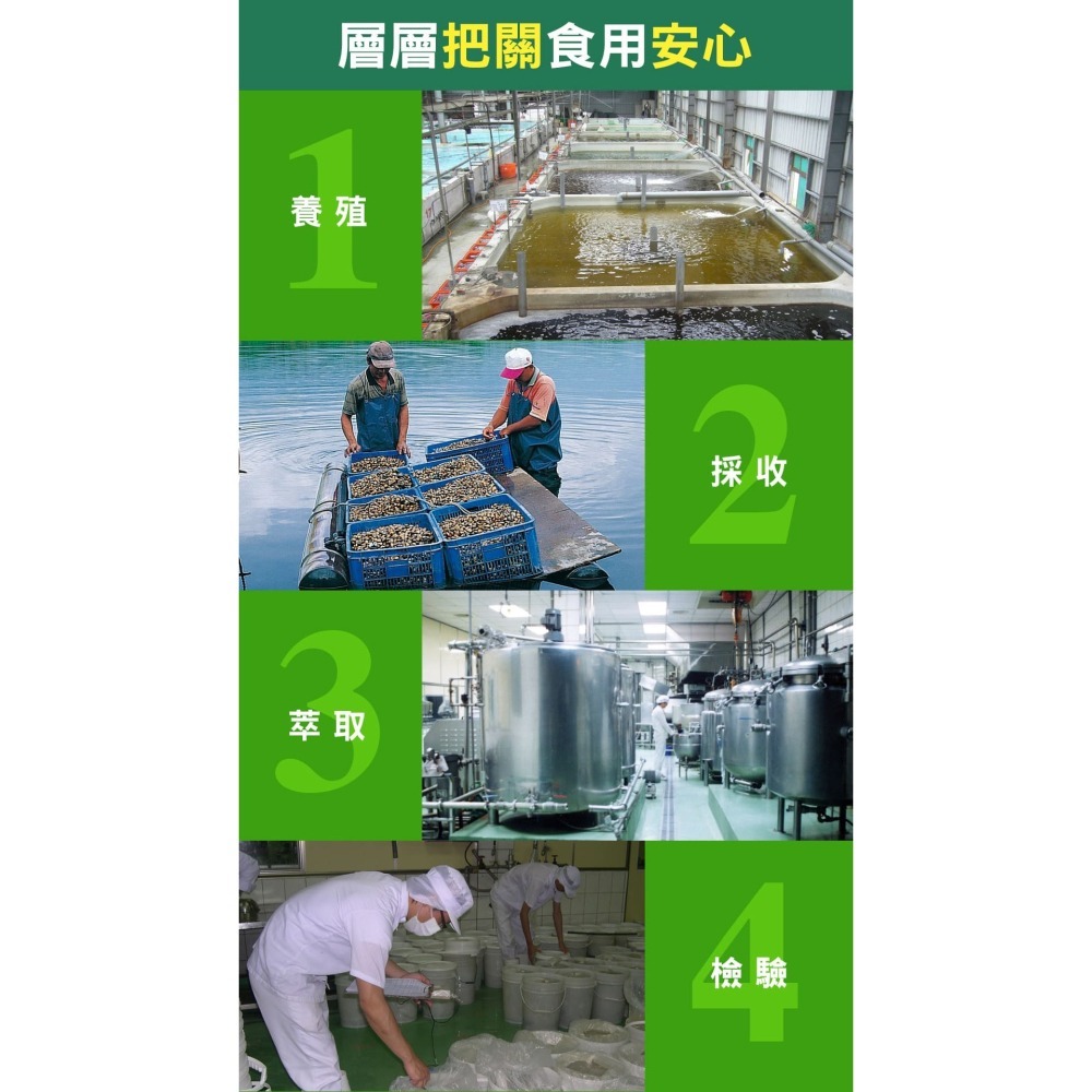 綠川 黃金蜆精 單包裝/6入盒裝-細節圖10