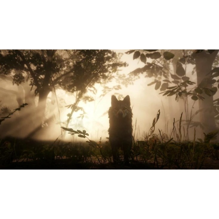 【萌電玩】免運 現貨 PS4 荒野大鏢客2救贖 碧血狂殺 支持PS5 碧血狂殺2 台南電玩 佳里電玩-細節圖5