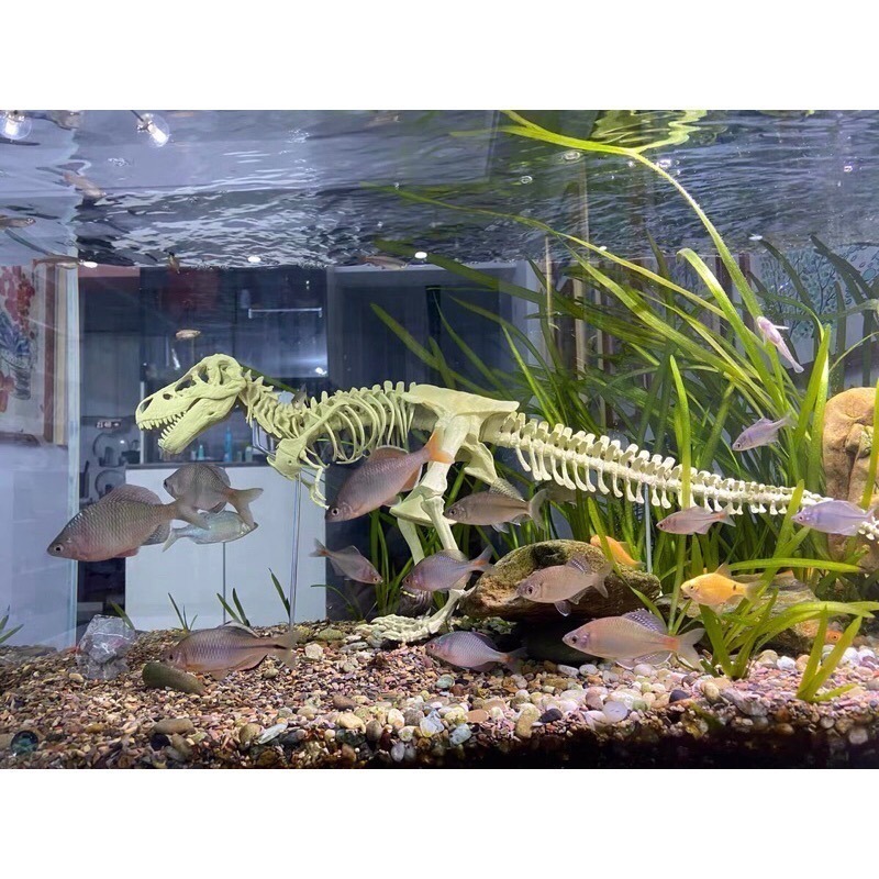 🦖恐龍（大）化石模型 可當水族擺飾 考古 挖掘 組裝恐龍化石 侏羅紀化石 侏羅紀 禮物-細節圖7