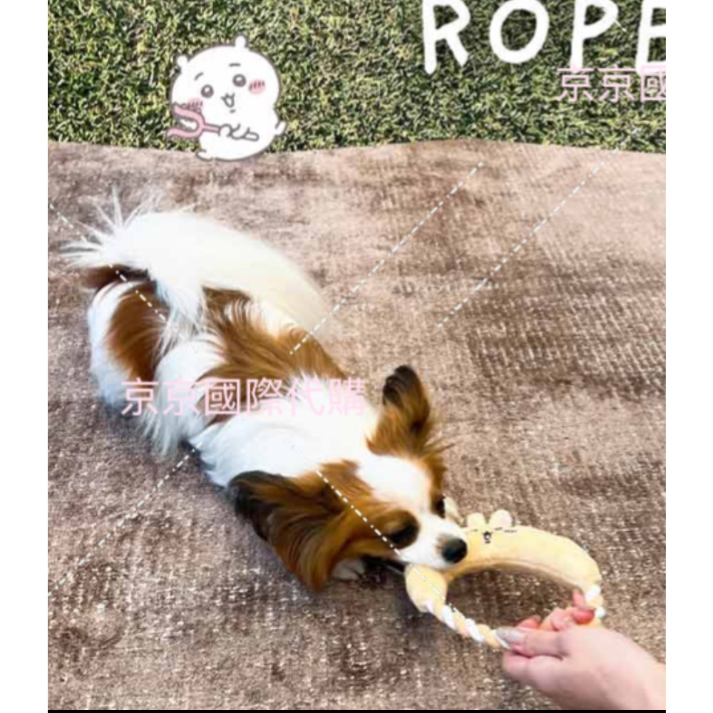 毛小孩最愛的玩具 加入寶貝的戰利品吧😽當親子玩具也很棒 隨心所欲使用它帶來歡樂吧 日本🇯🇵吉伊卡哇-細節圖5