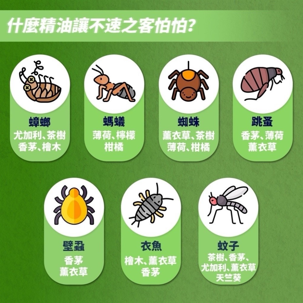 0302）台灣製 清檜抗菌驅離萬用清潔劑600m/罐-細節圖4