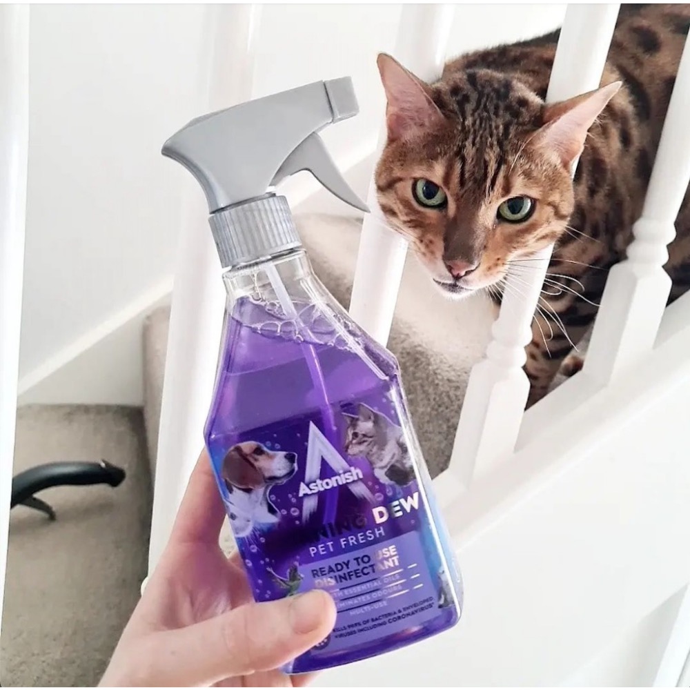 毛小孩養寵物適用~英國潔 Astonish 抗菌4效合1 天竺葵精油清潔劑 550ml-細節圖3