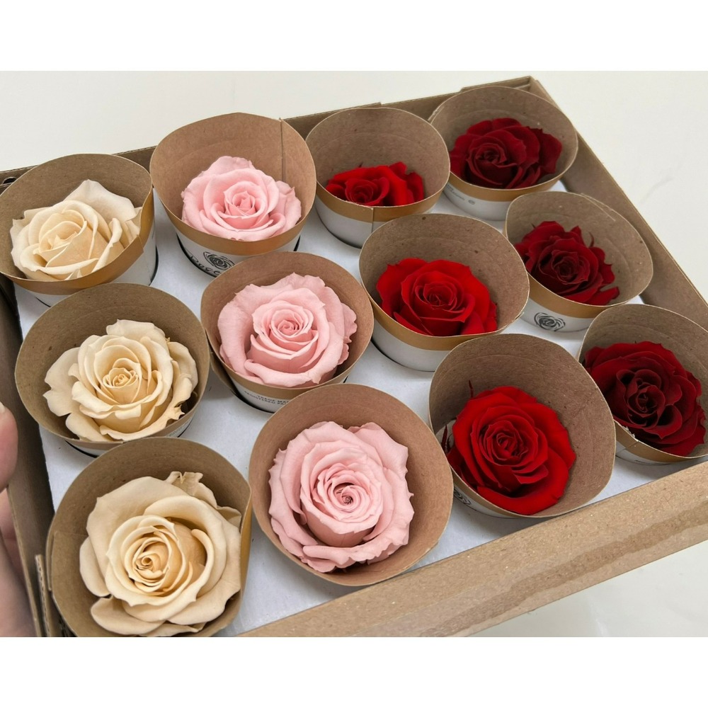 “Be a florist 花藝夢” Rose Amor 12朵裝 M號 厄瓜多永生玫瑰花 乾燥花 永生花 乾燥花材-細節圖3